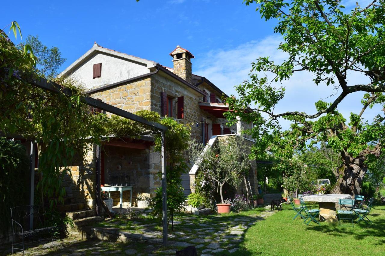 Apartman Casa Marsic Oprtalj エクステリア 写真